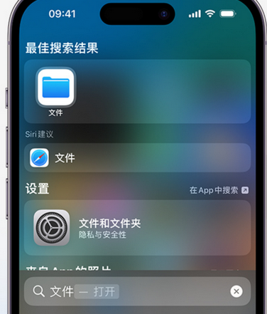 江宁apple维修中心分享iPhone文件应用中存储和找到下载文件 