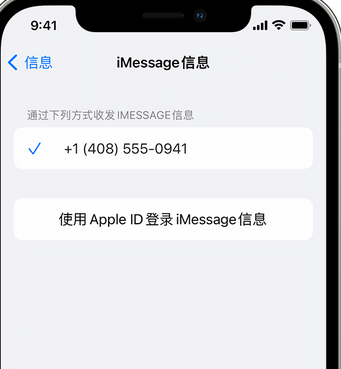 江宁apple维修iPhone上无法正常发送iMessage信息 