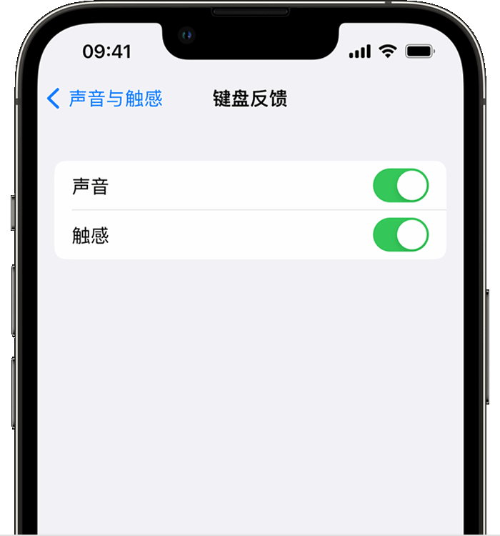 江宁苹果14维修店分享如何在 iPhone 14 机型中使用触感键盘 