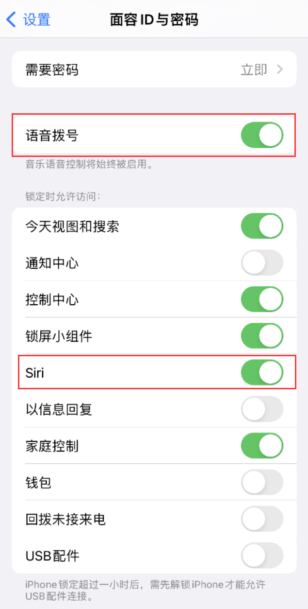 江宁苹果维修网点分享不解锁 iPhone 的情况下通过 Siri 拨打电话的方法 