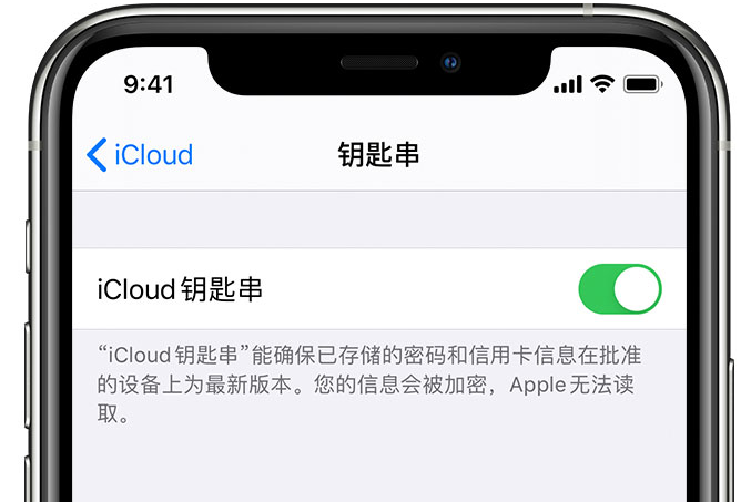 江宁苹果手机维修分享在 iPhone 上开启 iCloud 钥匙串之后会储存哪些信息 