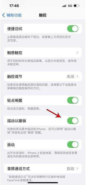 江宁苹果手机维修分享iPhone手机如何设置摇一摇删除文字 